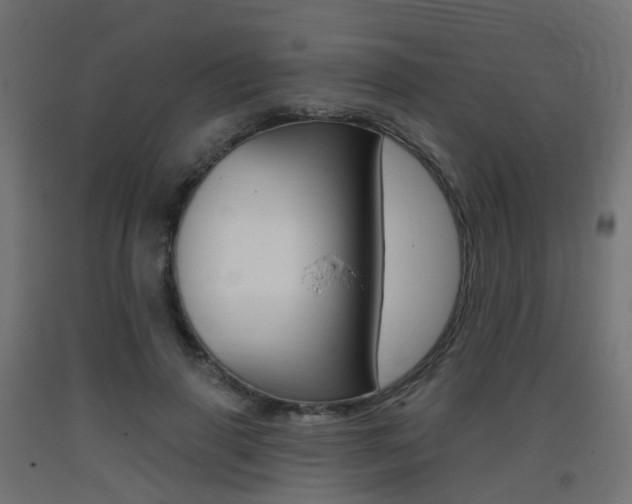 X0000093400645200710120857