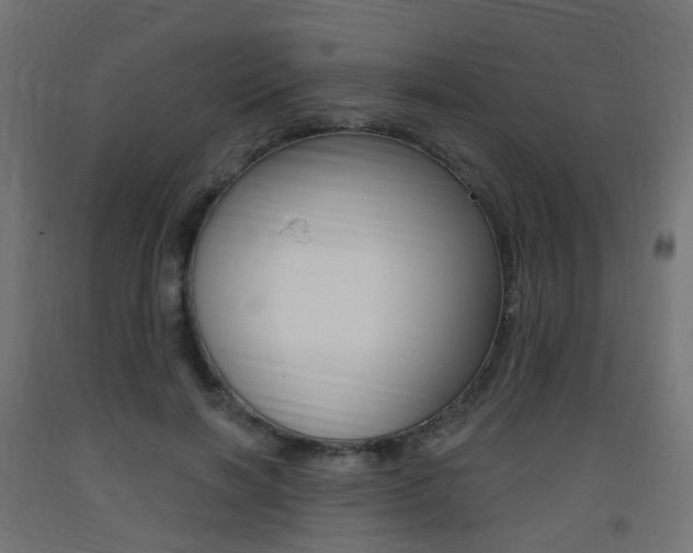 X0000093400646200710120857