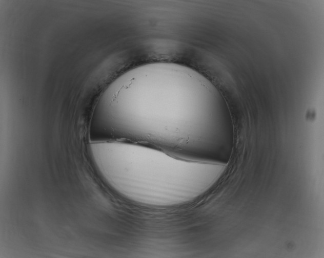 X0000093400647200710120857