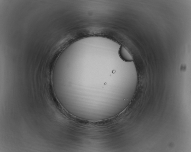 X0000093400648200710120857