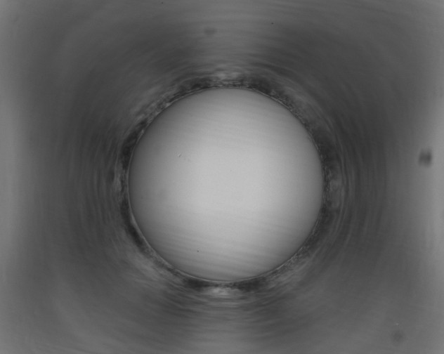 X0000093400654200710120857