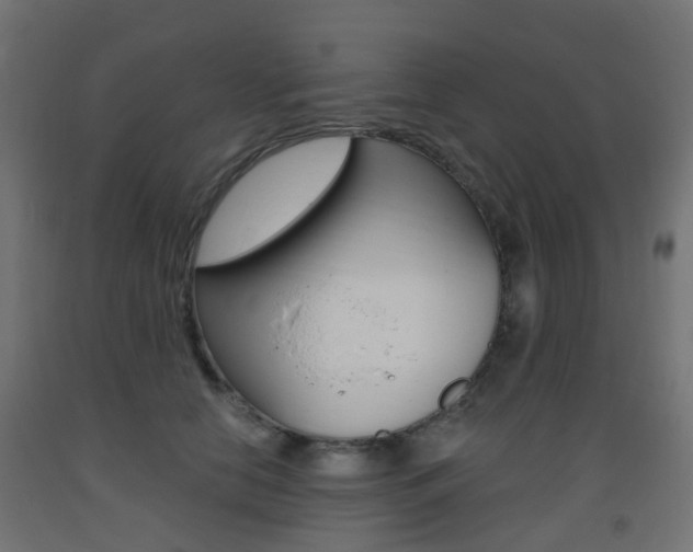 X0000093400658200710120857