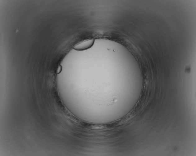 X0000093400659200710120857