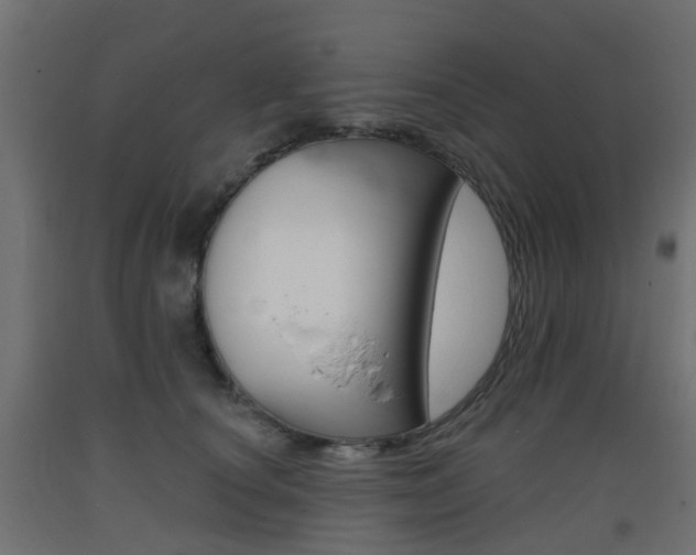 X0000093400660200710120857
