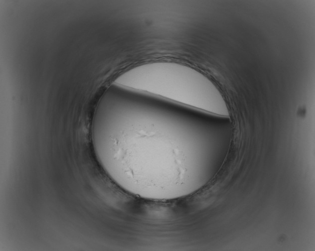 X0000093400661200710120857