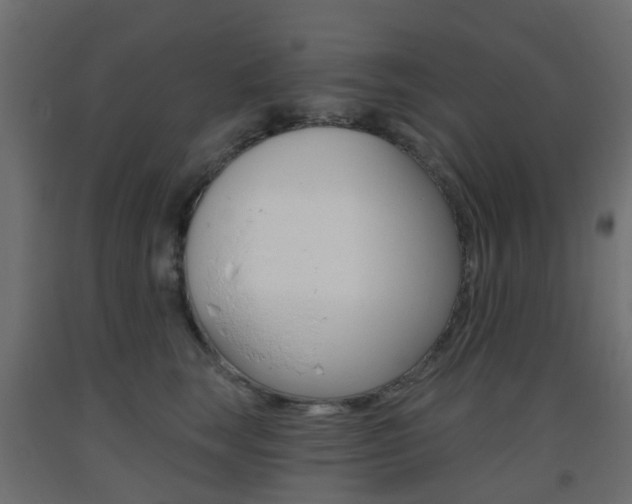 X0000093400663200710120857