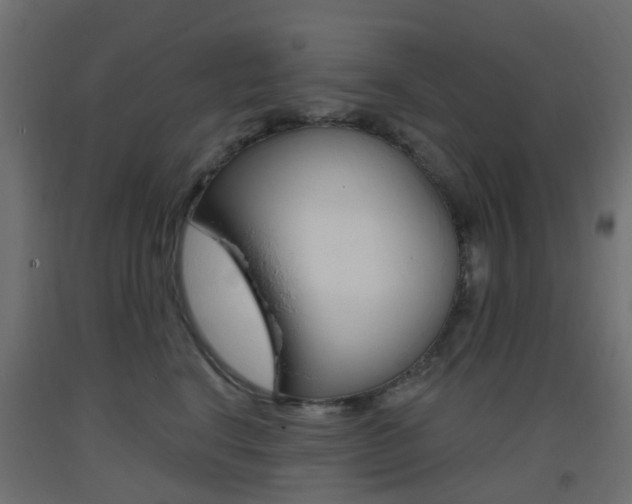 X0000093400664200710120857