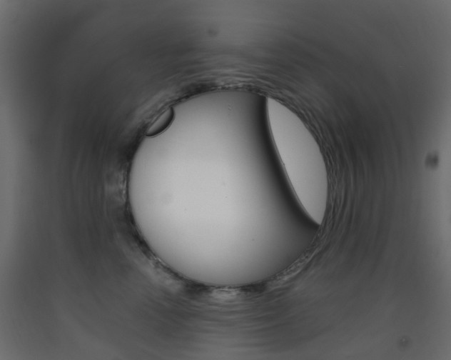 X0000093400666200710120857