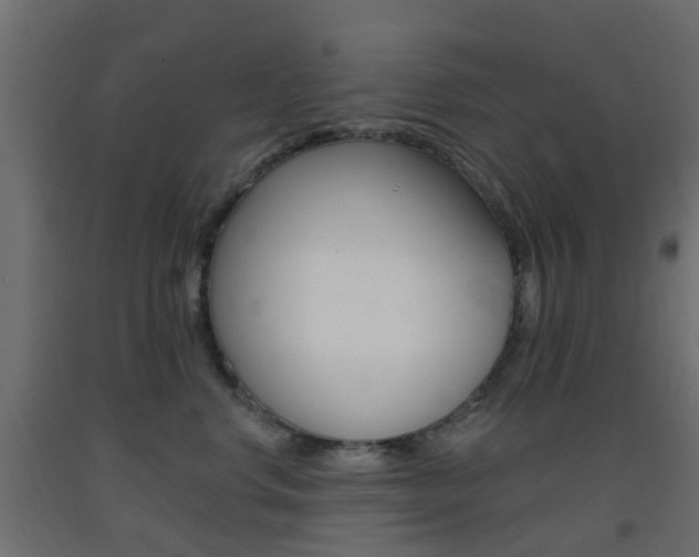 X0000093400668200710120857