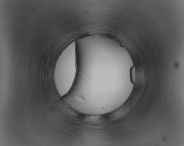 X0000093400671200710120857