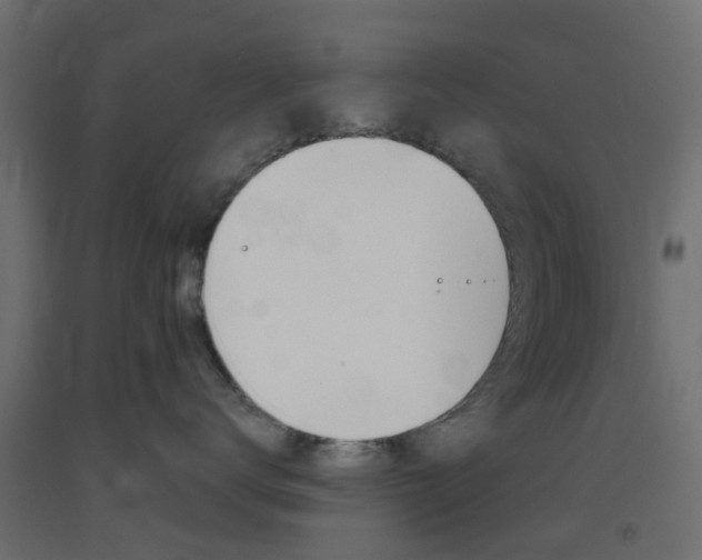 X0000093400672200710120857
