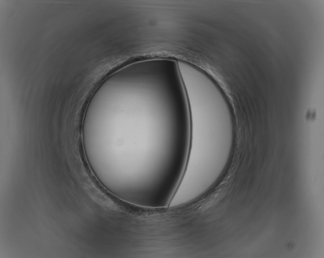 X0000093400673200710120856