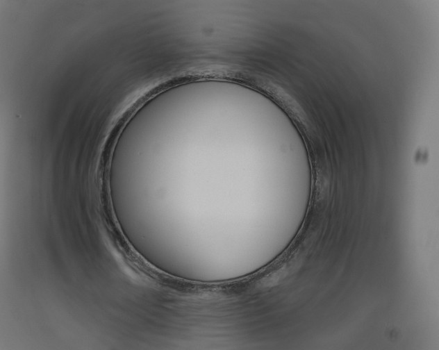 X0000093400674200710120856