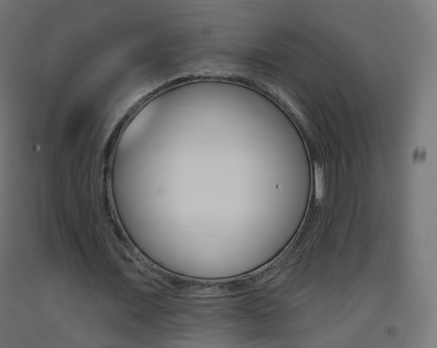 X0000093400675200710120856