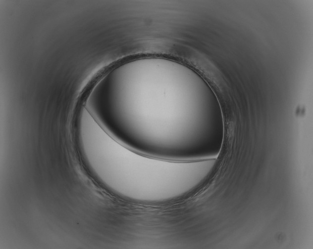 X0000093400676200710120856