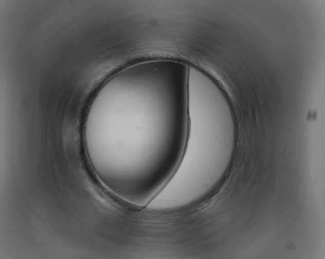 X0000093400677200710120856