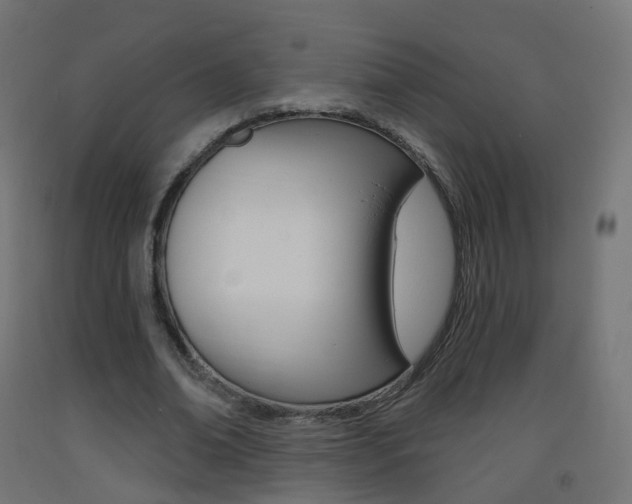 X0000093400678200710120856