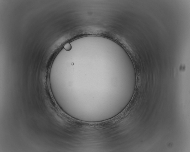 X0000093400679200710120856