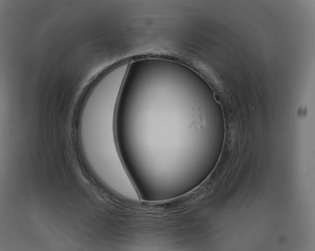 X0000093400680200710120856