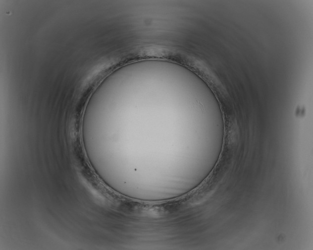 X0000093400683200710120856
