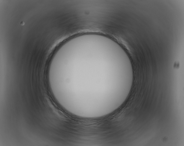 X0000093400684200710120856