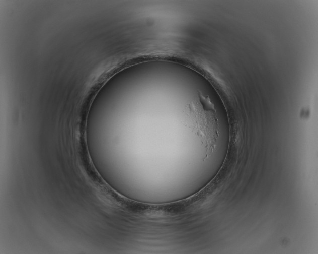 X0000093400685200710120856