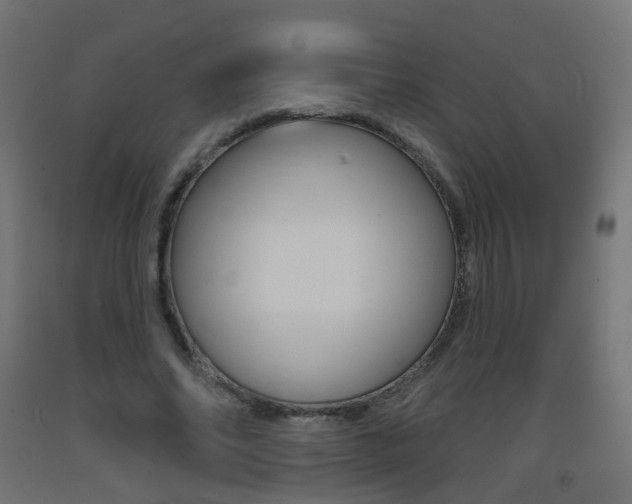 X0000093400686200710120856