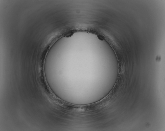 X0000093400687200710120856