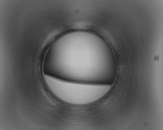 X0000093400688200710120856