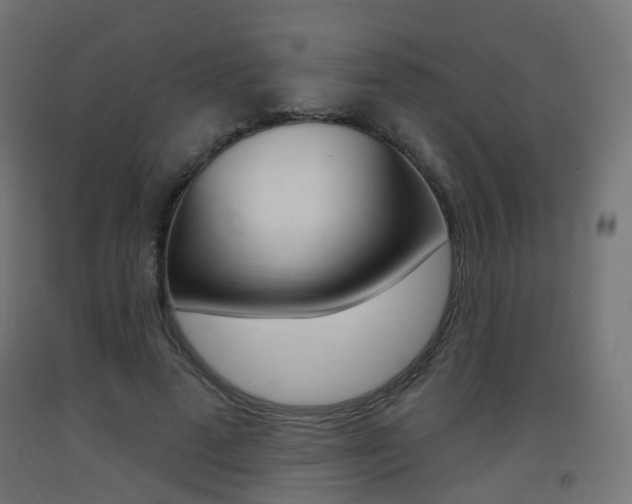 X0000093400689200710120856