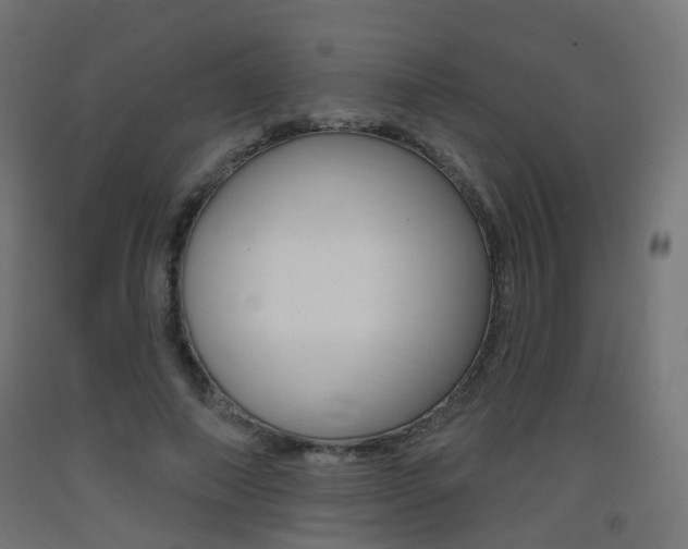 X0000093400690200710120856