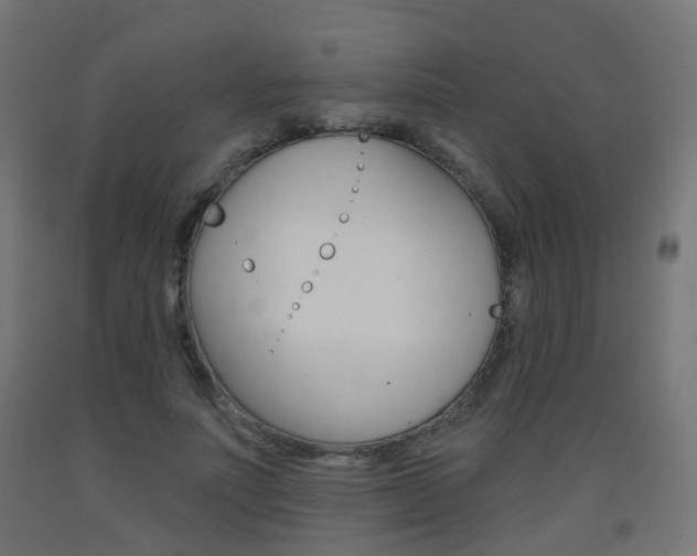 X0000093400691200710120856