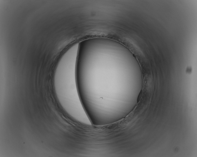 X0000093400692200710120856