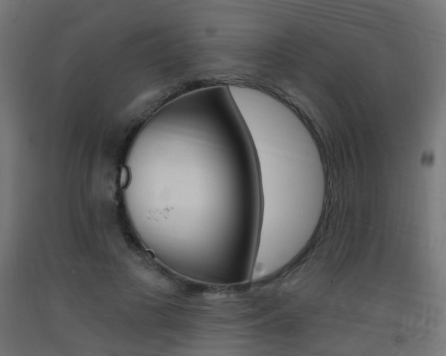 X0000093400693200710120856
