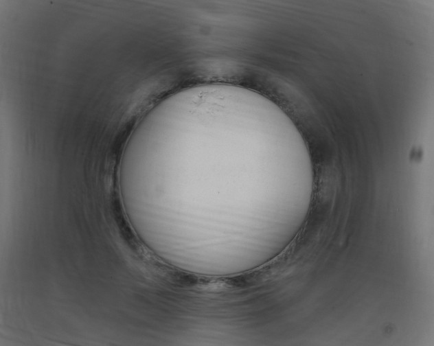X0000093400695200710120856