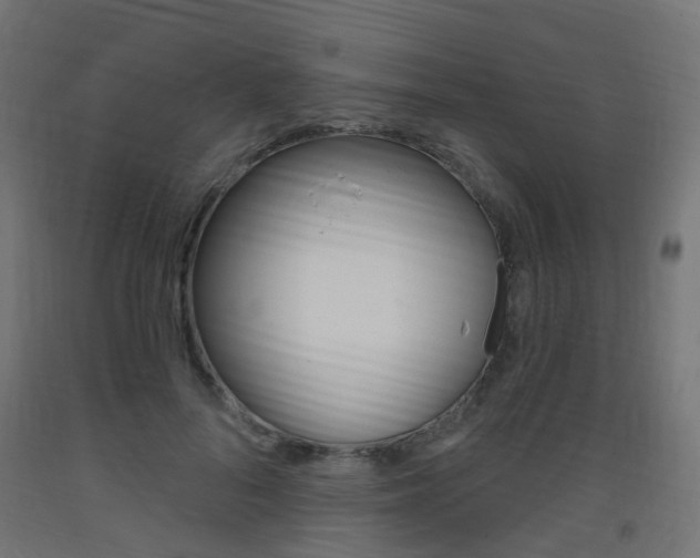 X0000093400696200710120856