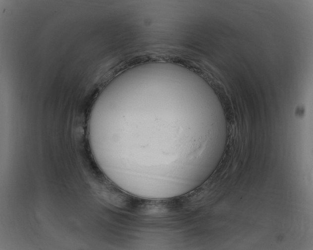 X0000093400702200710120856