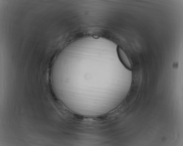 X0000093400703200710120856