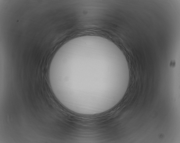 X0000093400705200710120856