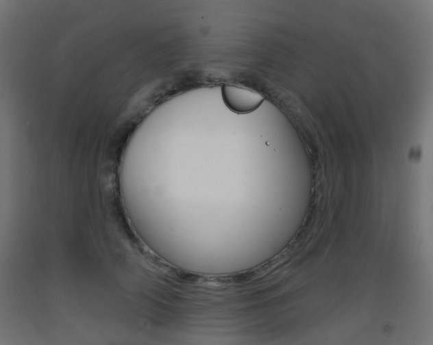 X0000093400706200710120856