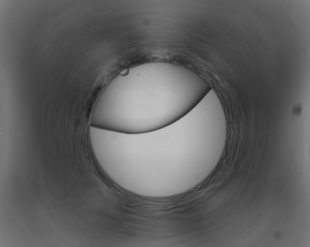 X0000093400707200710120856