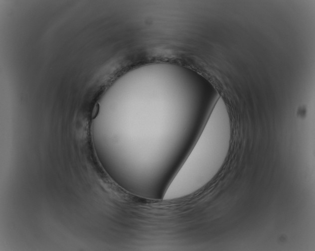 X0000093400708200710120856