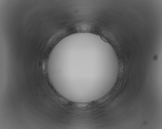 X0000093400709200710120856