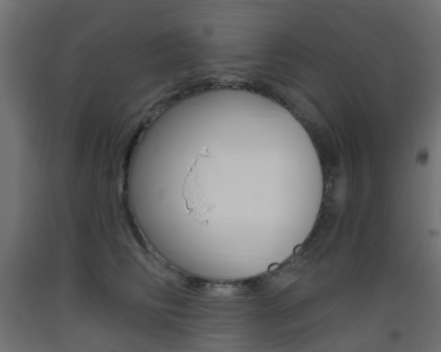 X0000093400710200710120856