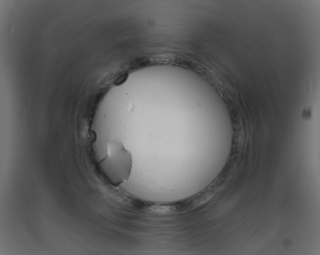 X0000093400711200710120856