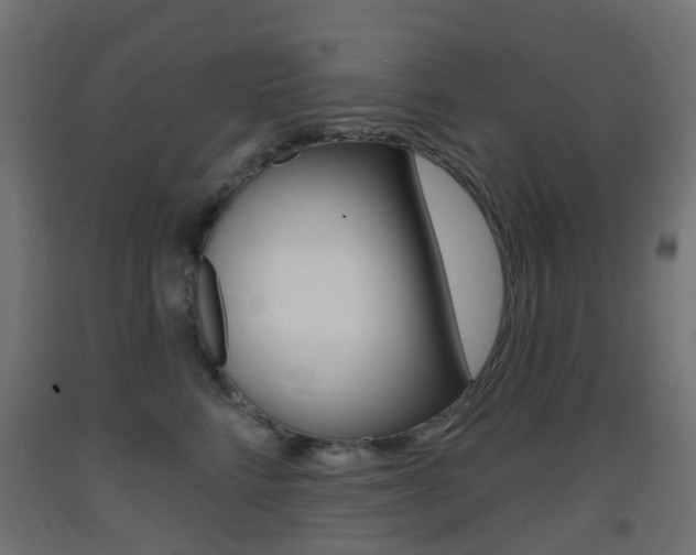 X0000093400712200710120856