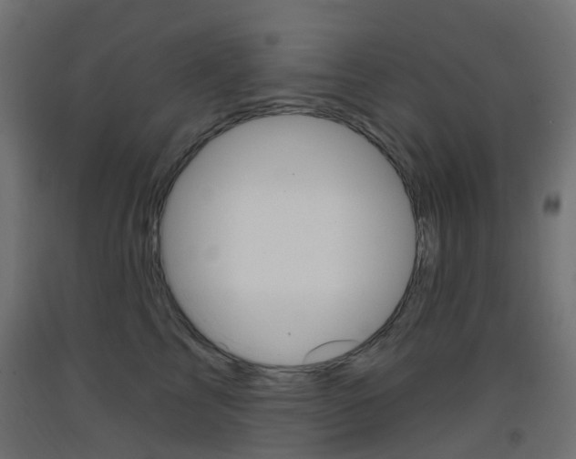 X0000093400713200710120856