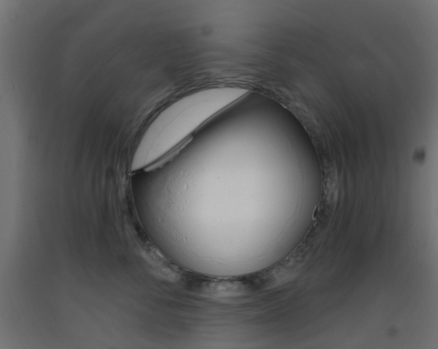 X0000093400716200710120856