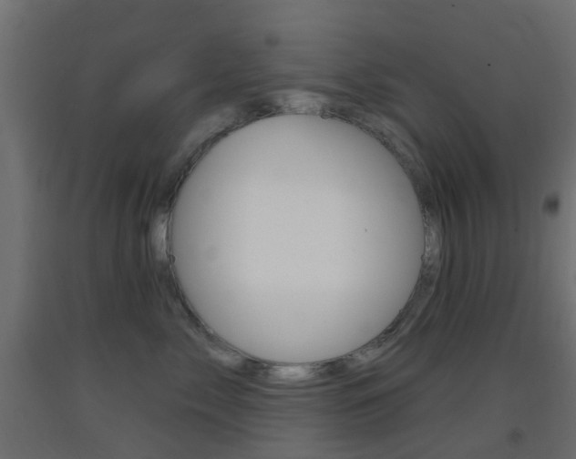 X0000093400717200710120856