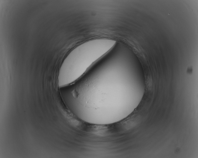 X0000093400719200710120856